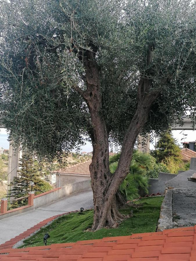 فندق La Casa Di Trilly سانريمو المظهر الخارجي الصورة